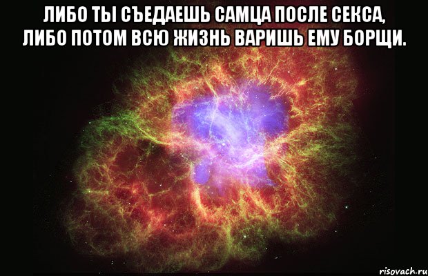 Либо ты съедаешь самца после секса, либо потом всю жизнь варишь ему борщи. , Мем Туманность