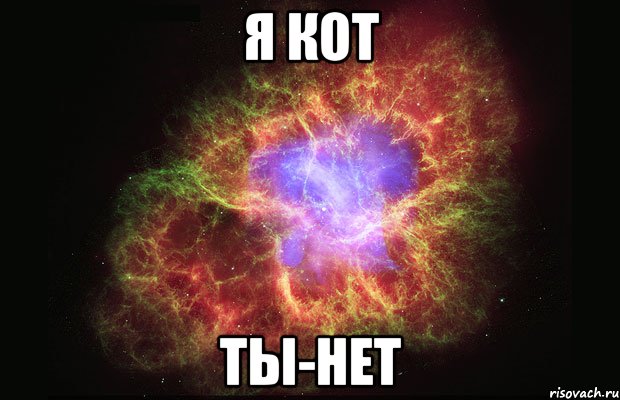 Я КОТ ТЫ-НЕТ, Мем Туманность