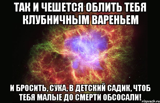 Так и чешется облить тебя клубничным вареньем и бросить, сука, в детский садик, чтоб тебя малые до смерти обсосали!, Мем Туманность