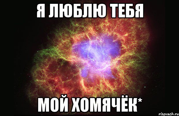 я люблю тебя мой хомячёк*, Мем Туманность