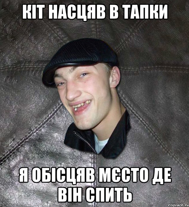 кіт насцяв в тапки я обісцяв мєсто де він спить, Мем Тут Апасна