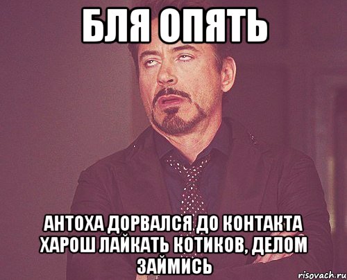 БЛЯ ОПЯТЬ АНТОХА ДОРВАЛСЯ ДО КОНТАКТА харош лайкать котиков, делом займись, Мем твое выражение лица