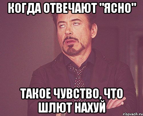 когда отвечают "ясно" такое чувство, что шлют нахуй, Мем твое выражение лица