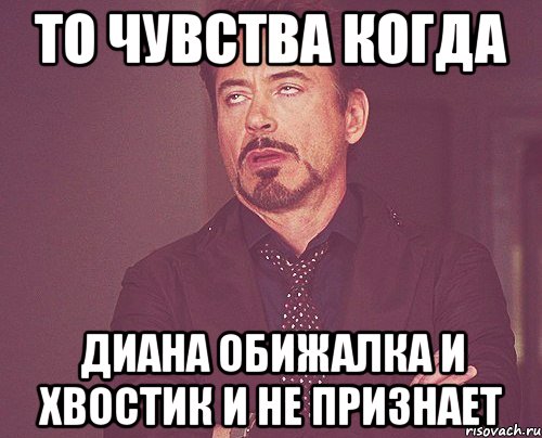 то чувства когда Диана обижалка и хвостик и не признает, Мем твое выражение лица