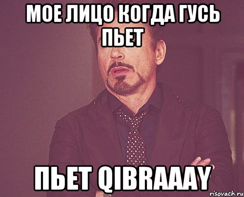 мое лицо когда гусь пьет пьет Qibraaay, Мем твое выражение лица