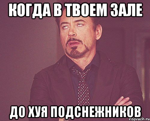 Когда в твоем зале до хуя подснежников, Мем твое выражение лица