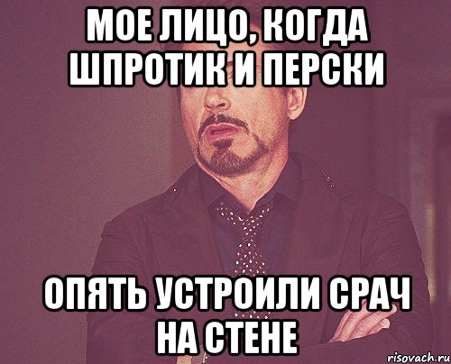 Мое лицо, когда шпротик и перски опять устроили срач на стене, Мем твое выражение лица