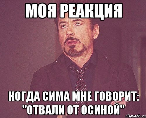 моя реакция когда сима мне говорит: "отвали от осиной", Мем твое выражение лица