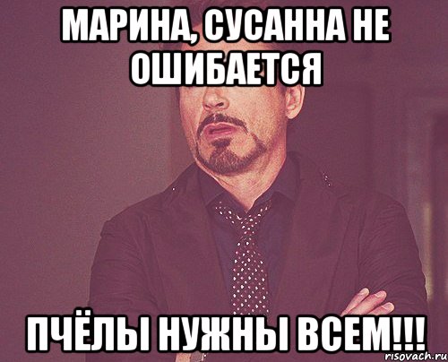 Марина, Сусанна не ошибается пчёлы нужны всем!!!, Мем твое выражение лица