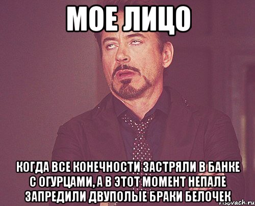 мое лицо когда все конечности застряли в банке с огурцами, а в этот момент непале запредили двуполые браки белочек, Мем твое выражение лица