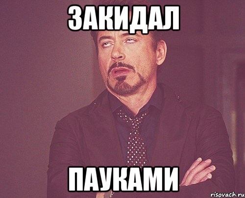 Закидал Пауками, Мем твое выражение лица