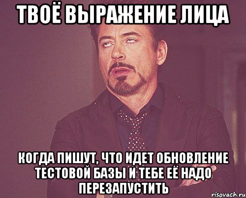 ТВОЁ ВЫРАЖЕНИЕ ЛИЦА КОГДА ПИШУТ, ЧТО ИДЕТ ОБНОВЛЕНИЕ ТЕСТОВОЙ БАЗЫ И ТЕБЕ ЕЁ НАДО ПЕРЕЗАПУСТИТЬ, Мем твое выражение лица