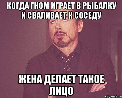 Когда Гном играет в рыбалку и сваливает к соседу жена делает такое лицо, Мем твое выражение лица