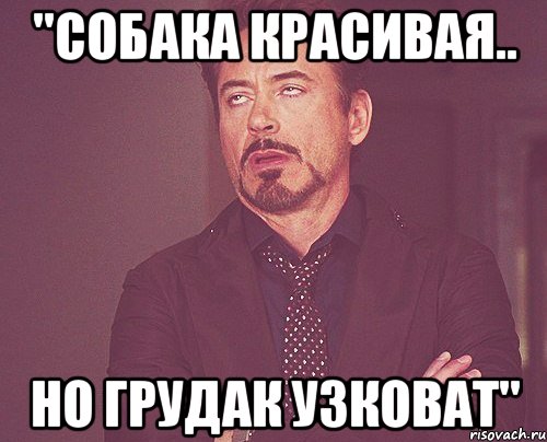 "Собака красивая.. но грудак узковат", Мем твое выражение лица