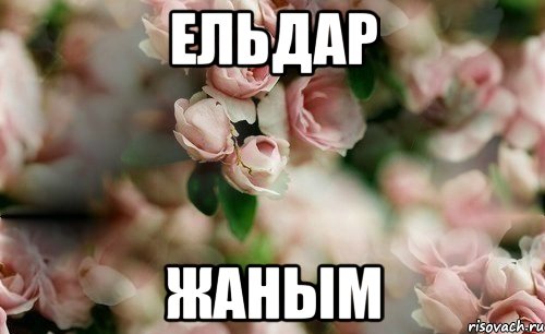 Ельдар Жаным