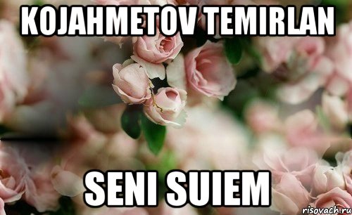 Kojahmetov Temirlan Seni suiem