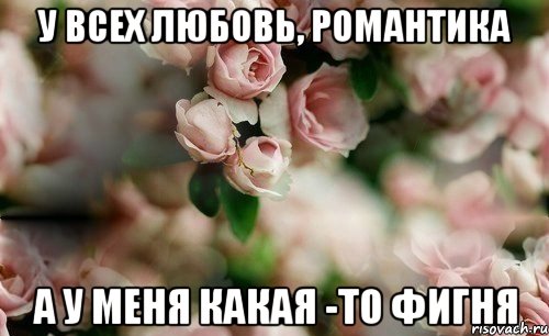 у всех любовь, романтика а у меня какая -то фигня