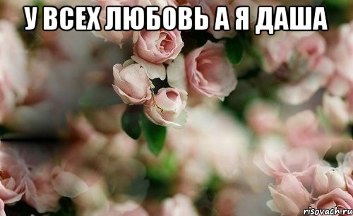 У ВСЕХ ЛЮБОВЬ А Я ДАША 