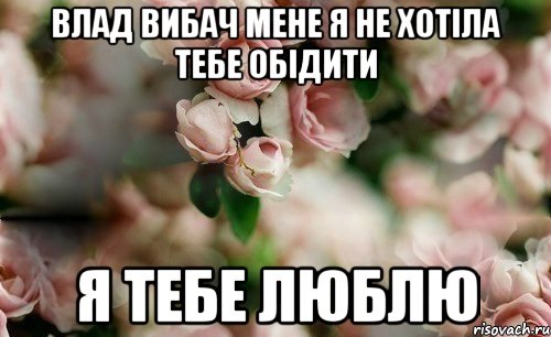 Влад вибач мене я не хотіла тебе обідити я тебе люблю