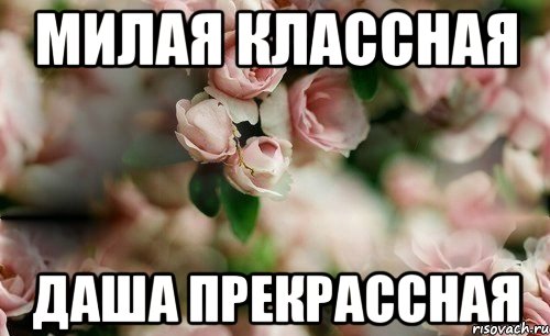 МИЛАЯ КЛАССНАЯ ДАША ПРЕКРАССНАЯ