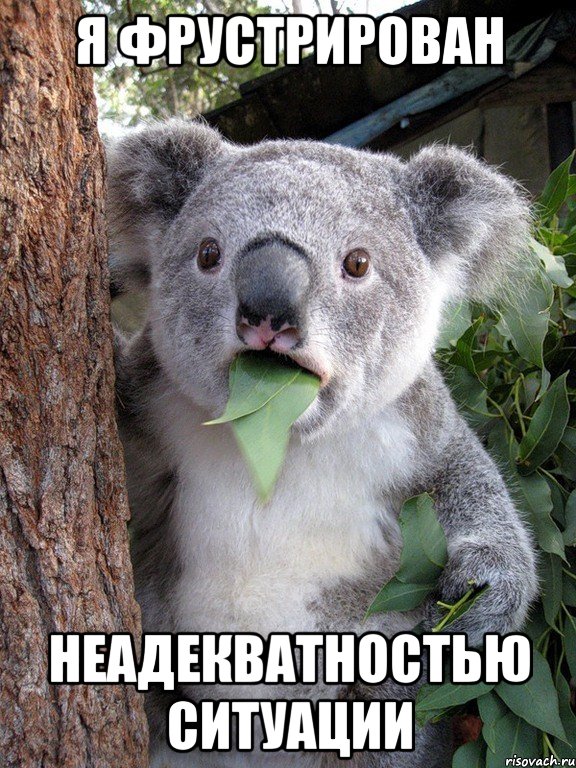 Я ФРУСТРИРОВАН НЕАДЕКВАТНОСТЬЮ СИТУАЦИИ