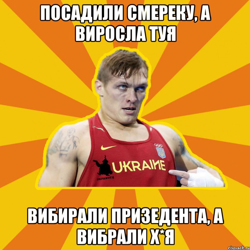 ПОСАДИЛИ СМЕРЕКУ, А ВИРОСЛА ТУЯ ВИБИРАЛИ ПРИЗЕДЕНТА, А ВИБРАЛИ Х*Я, Мем Украинец