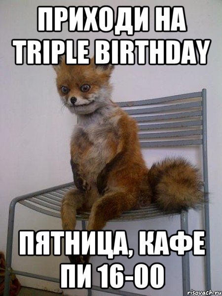 Приходи на Triple Birthday Пятница, кафе Пи 16-00, Мем Упоротая лиса