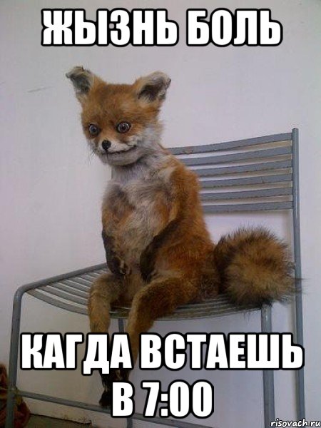 Жызнь боль кагда встаешь в 7:00, Мем Упоротая лиса