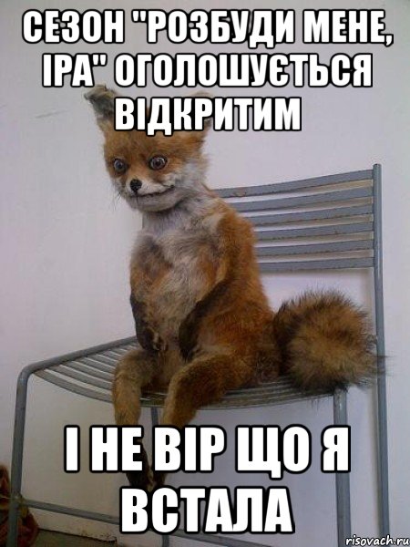 сезон "розбуди мене, Іра" оголошується відкритим і не вір що я встала, Мем Упоротая лиса