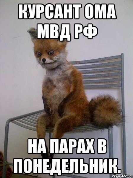 Курсант ОмА МВД РФ На парах в понедельник., Мем Упоротая лиса