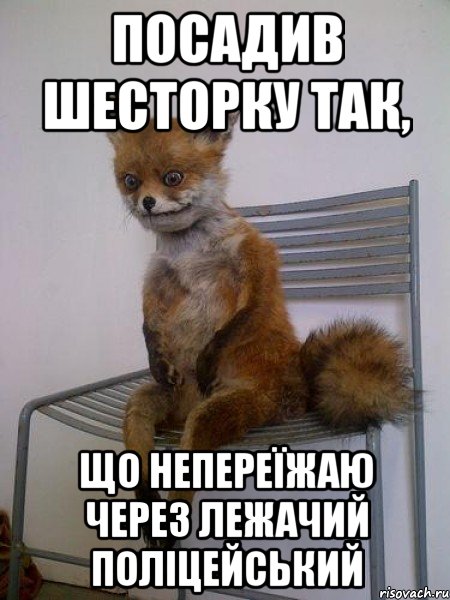 посадив шесторку так, що непереїжаю через лежачий поліцейський, Мем Упоротая лиса