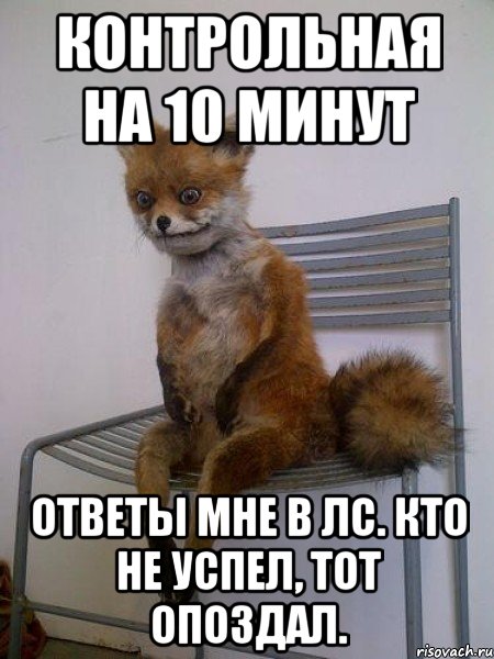 Контрольная на 10 минут Ответы мне в лс. Кто не успел, тот опоздал., Мем Упоротая лиса