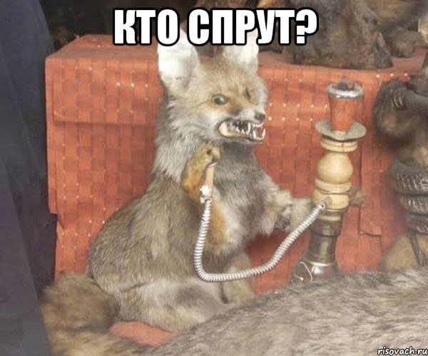 Кто спрут? , Мем Упоротый лис курит кальян