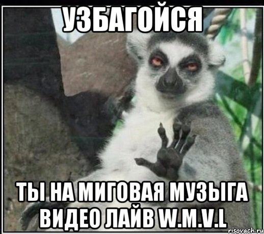 Узбагойся ты на Миговая музыга видео лайв W.M.V.L, Мем Все будет збагойно