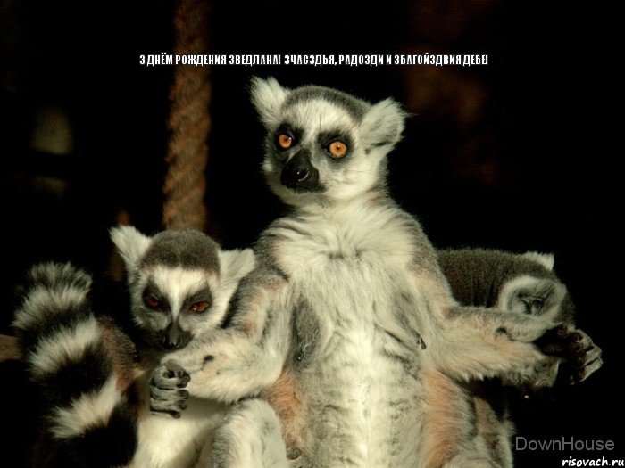 З днём рождения Зведлана! Зчасздья, радозди и збагойздвия дебе!