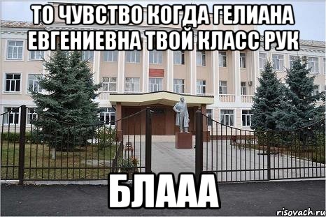 то чувство когда гелиана евгениевна твой класс рук блааа