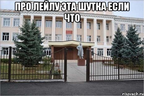 про лейлу эта шутка если что 