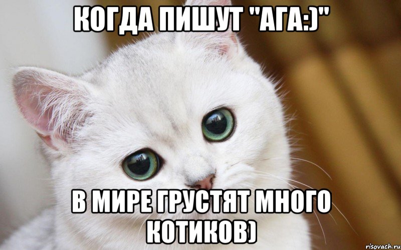 Когда пишут "ага:)" в мире грустят много котиков), Мем  В мире грустит один котик