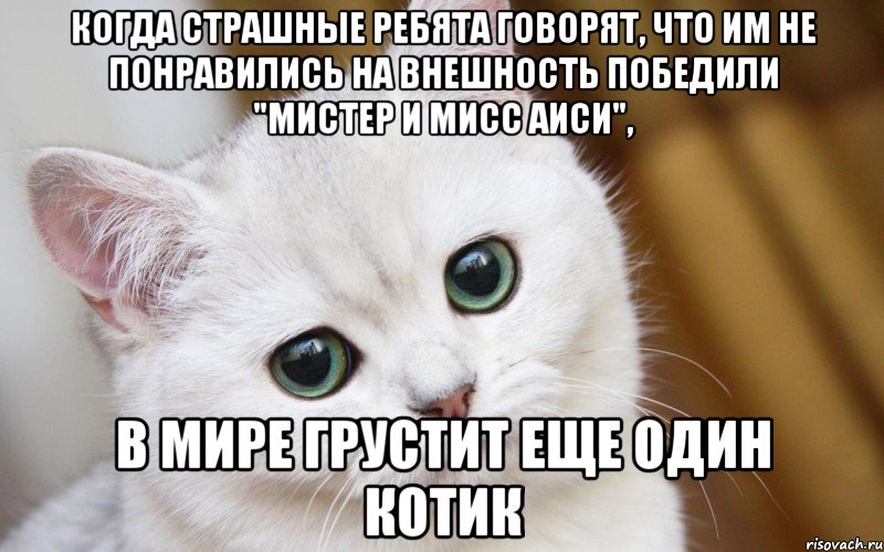 Когда страшные ребята говорят, что им не понравились на внешность победили "Мистер и Мисс АИСИ", в мире грустит еще один котик, Мем  В мире грустит один котик