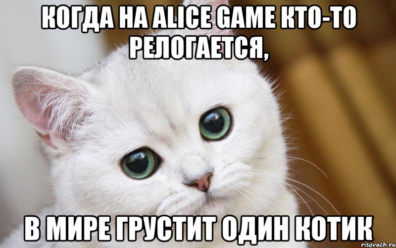 Когда на Alice game кто-то релогается, в мире грустит один котик, Мем  В мире грустит один котик