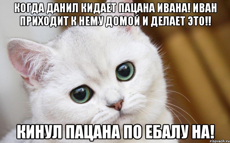 когда Данил кидает пацана Ивана! Иван приходит к нему домой и делает это!! кинул пацана по ебалу на!, Мем  В мире грустит один котик