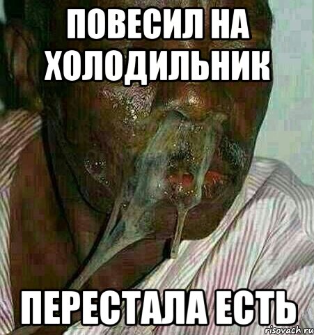 Повесил на холодильник Перестала есть