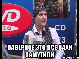  Наверное это все вахи замутили, Мем ВАХИ ЗАМУТИЛИ