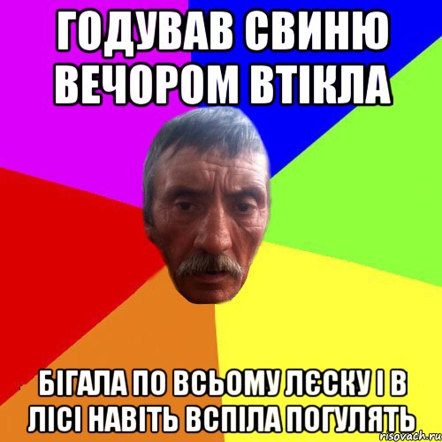 Годував свиню вечором втікла Бігала по всьому Лєску і в лісі навіть вспіла погулять