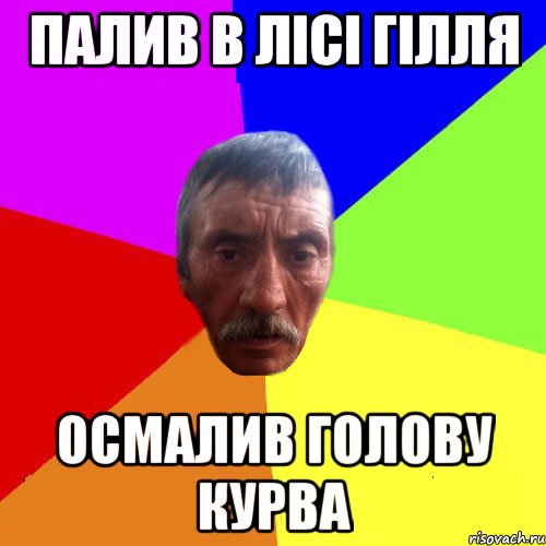 Палив в лісі гілля Осмалив голову курва