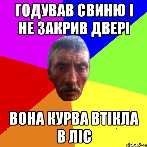 годував свиню і не закрив двері вона курва втікла в ліс