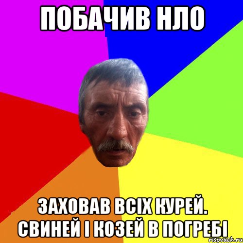 побачив нло заховав всіх курей. свиней і козей в погребі