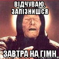відчуваю, запізнишся завтра на Гімн, Мем Ванга (цвет)