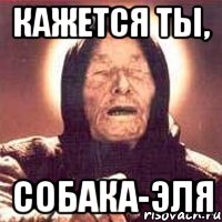 Кажется ты, собака-Эля, Мем Ванга (цвет)