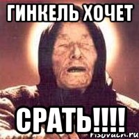 Гинкель хочет срать!!!!, Мем Ванга (цвет)